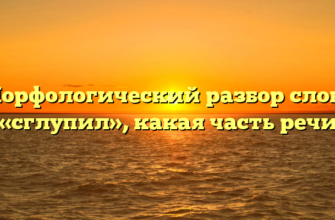 Морфологический разбор слова «сглупил», какая часть речи