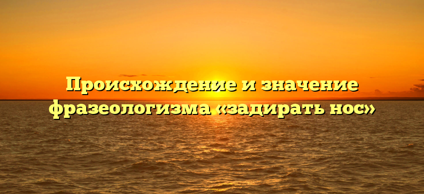 Происхождение и значение фразеологизма «задирать нос»