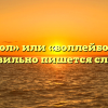 «Волейбол» или «воллейбол» — как правильно пишется слово?
