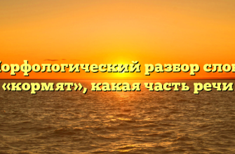 Морфологический разбор слова «кормят», какая часть речи