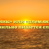 «Племянник» или «племяник» — как правильно пишется слово?