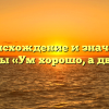 Происхождение и значение пословицы «Ум хорошо, а два лучше»